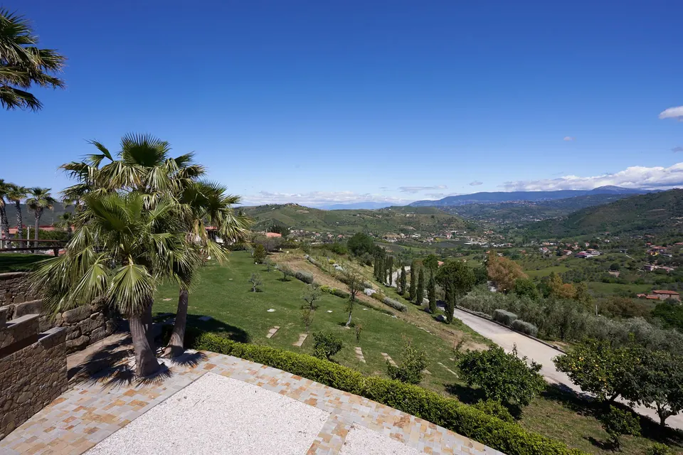 Prato e palme sulla valle