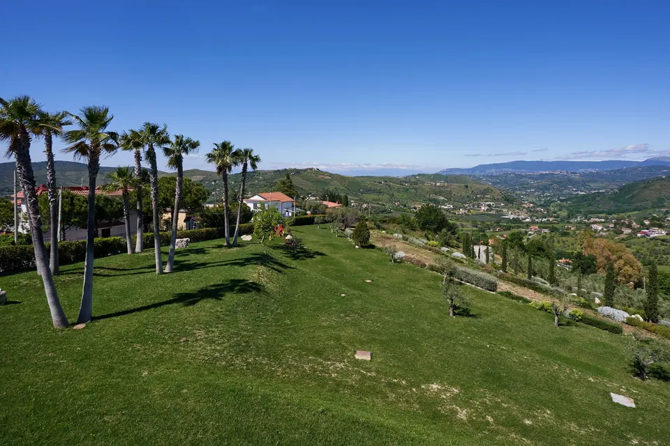 Il prato con palme e ulivi intorno alla struttura, affacciato sulle colline del Cilento