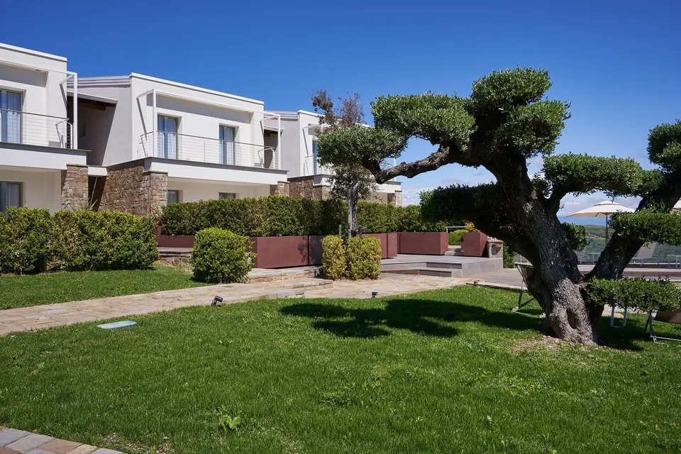 Il giardino con l'ulivo potato a nuvola davanti alle camere